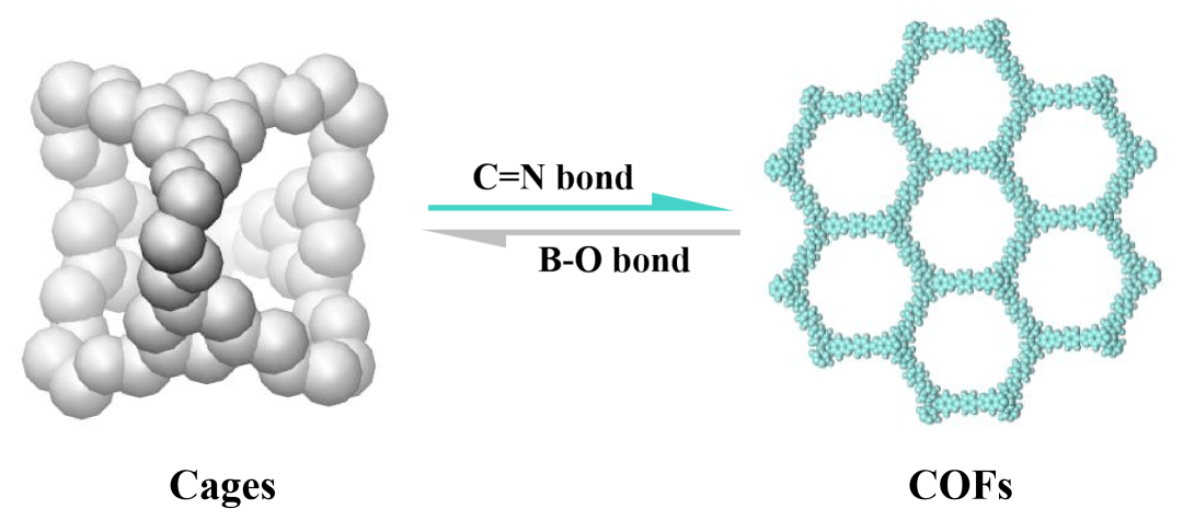 jacs南京理工张根课题组在共价有机框架cofs有机分子笼cages动态转换