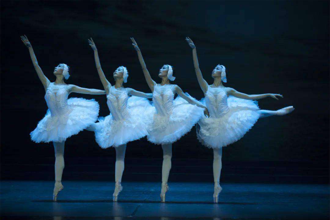 1月北京早鸟票 | 弗拉基米尔·马拉霍夫编导辽宁芭蕾舞团《天鹅湖》
