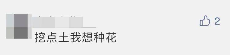 四子王旗|“嫦五”回家，没想到抢镜的是它