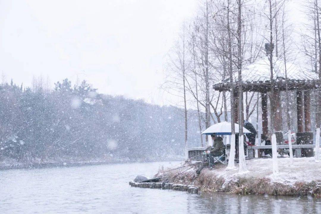 下雪天适合钓鱼吗?聊聊雪天的钓点选择和技巧!