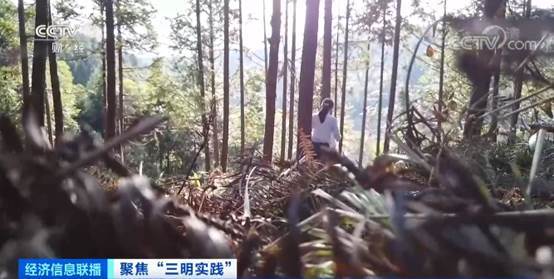 沙县人均收入_沙县小吃