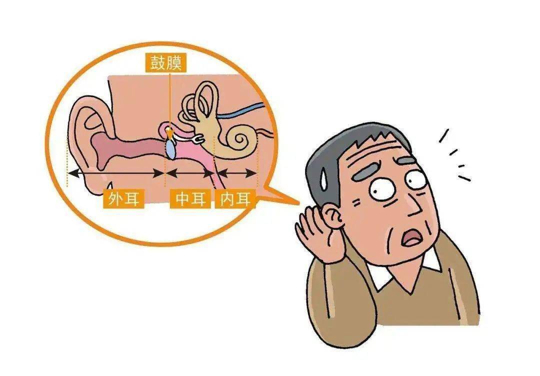 成语什么耳什么聋_耳朵聋了吃什么药图片(3)