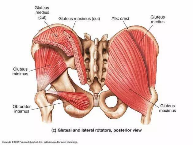 臀大肌损伤(挛缩)精确针刀治疗指南!