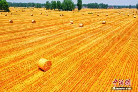 中央定调2021年中国经济 5大新提法传递啥信号？