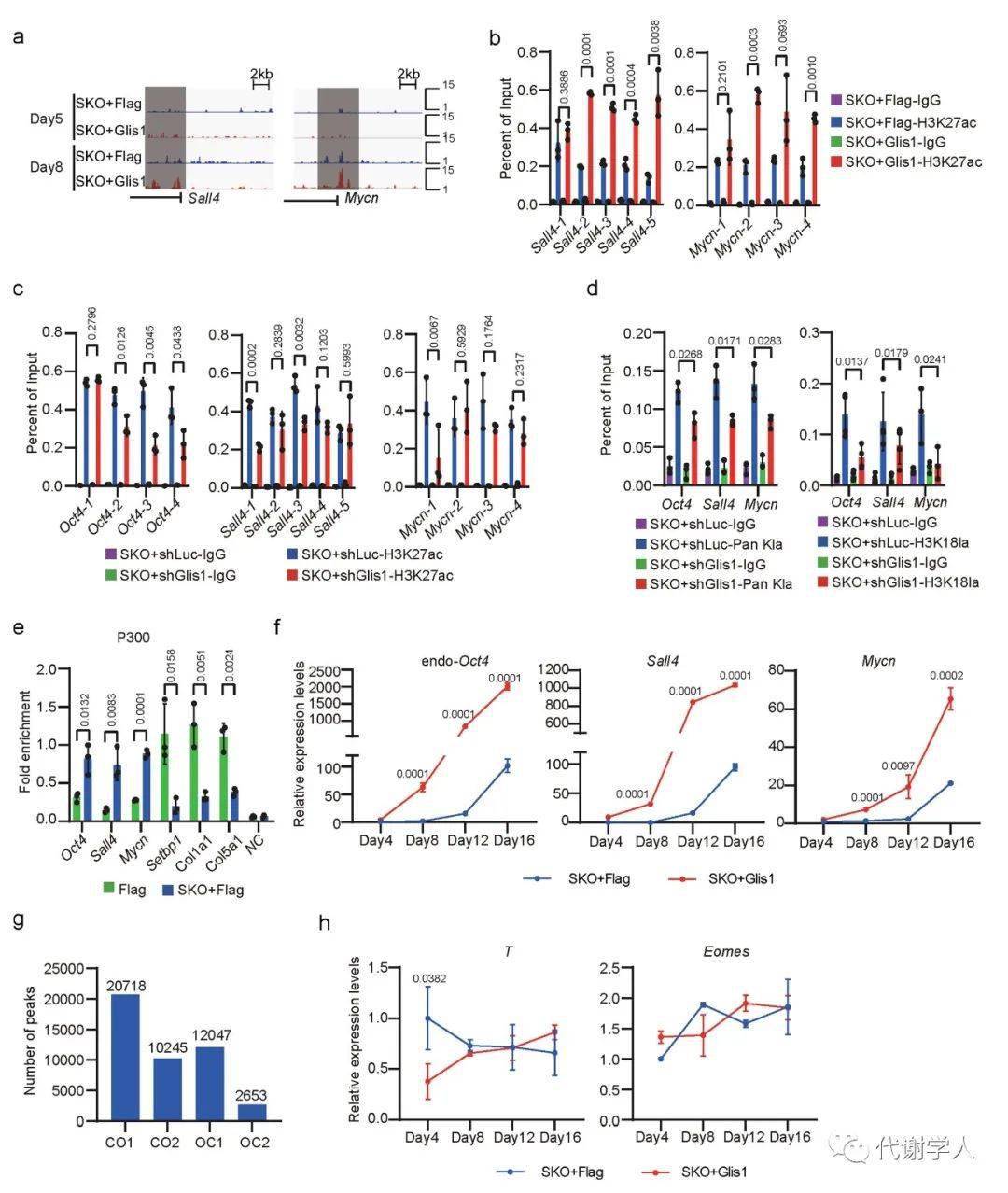 naturemetabolismglis1通过表观基因组代谢组表观基因组信号级联诱导