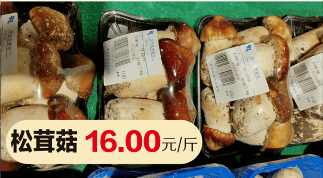 松菌营养 1d3dfb8f76244b27ab715d3058403635.png