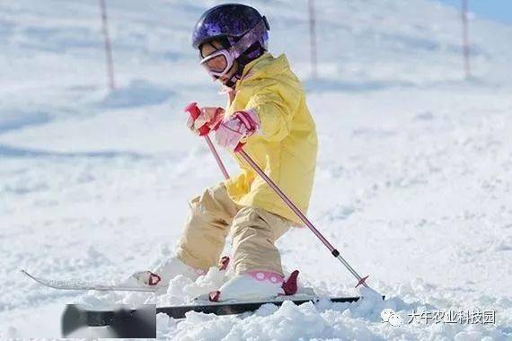 【仅25元】畅玩大午科技园包含18选10项套票 滑雪场 体验票