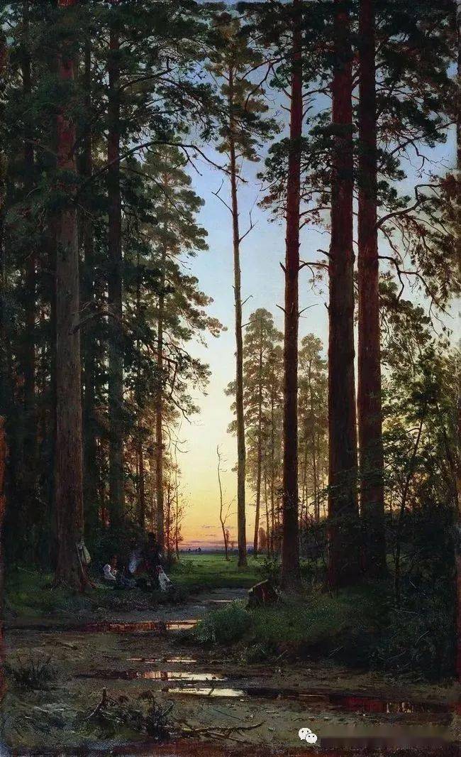 俄罗斯杰出风景画家希施金的油画作品,诗一般的境界!