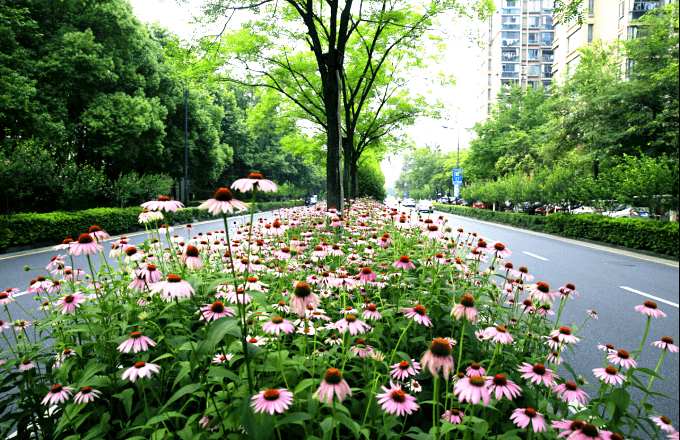 园林绿化排名_园林绿化(2)