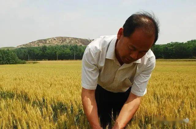 农民能产生gdp吗_农民简笔画