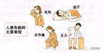 布病，你了解多少？