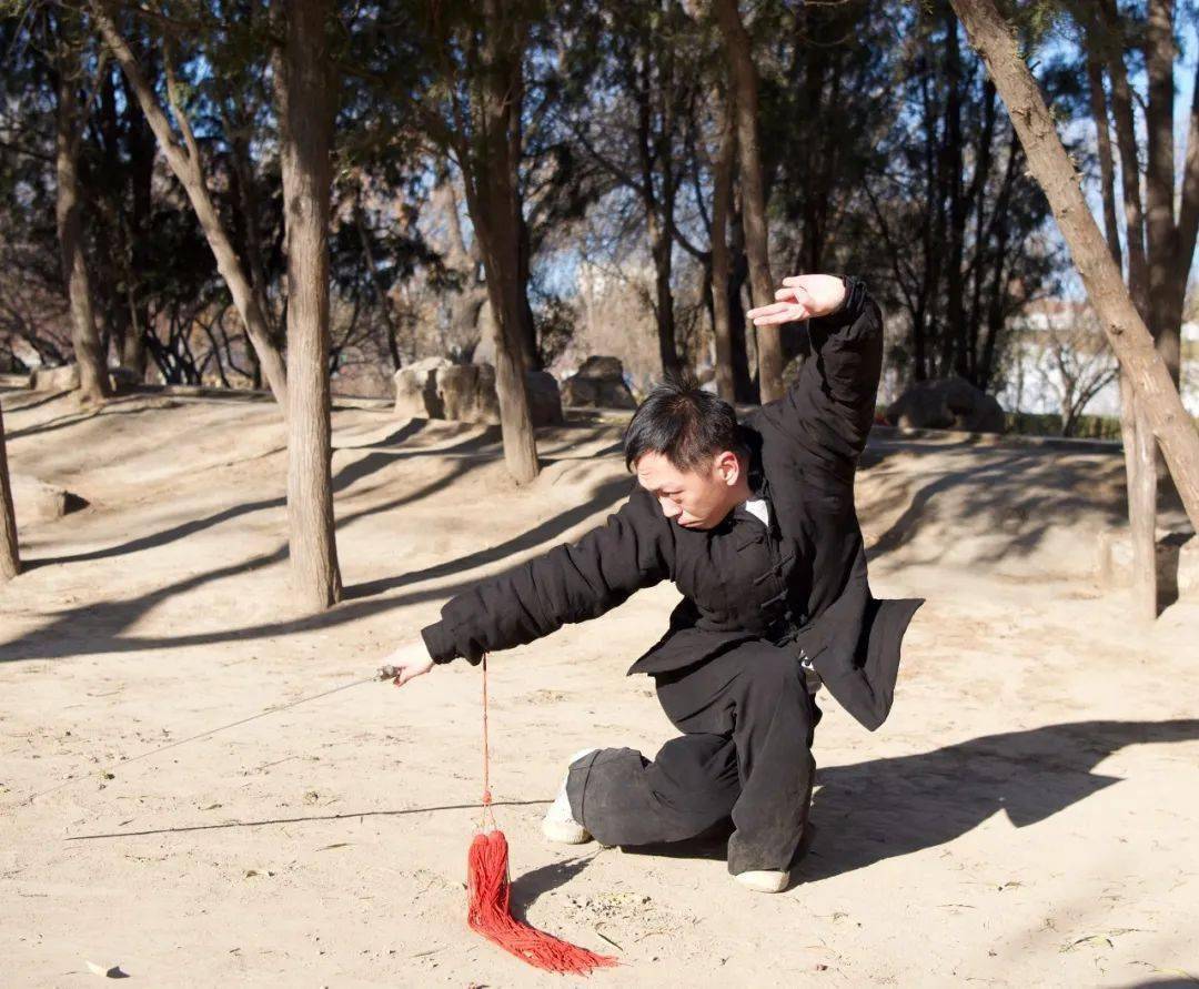 在现场,拳社的中国武术七段,国家级武术段位考评员杨强现场讲解八极