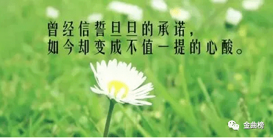 d71a658692d348af9cd78c66aeca01a1.png