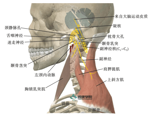 ff50f2b4972943c29e6d69afa077e481.png