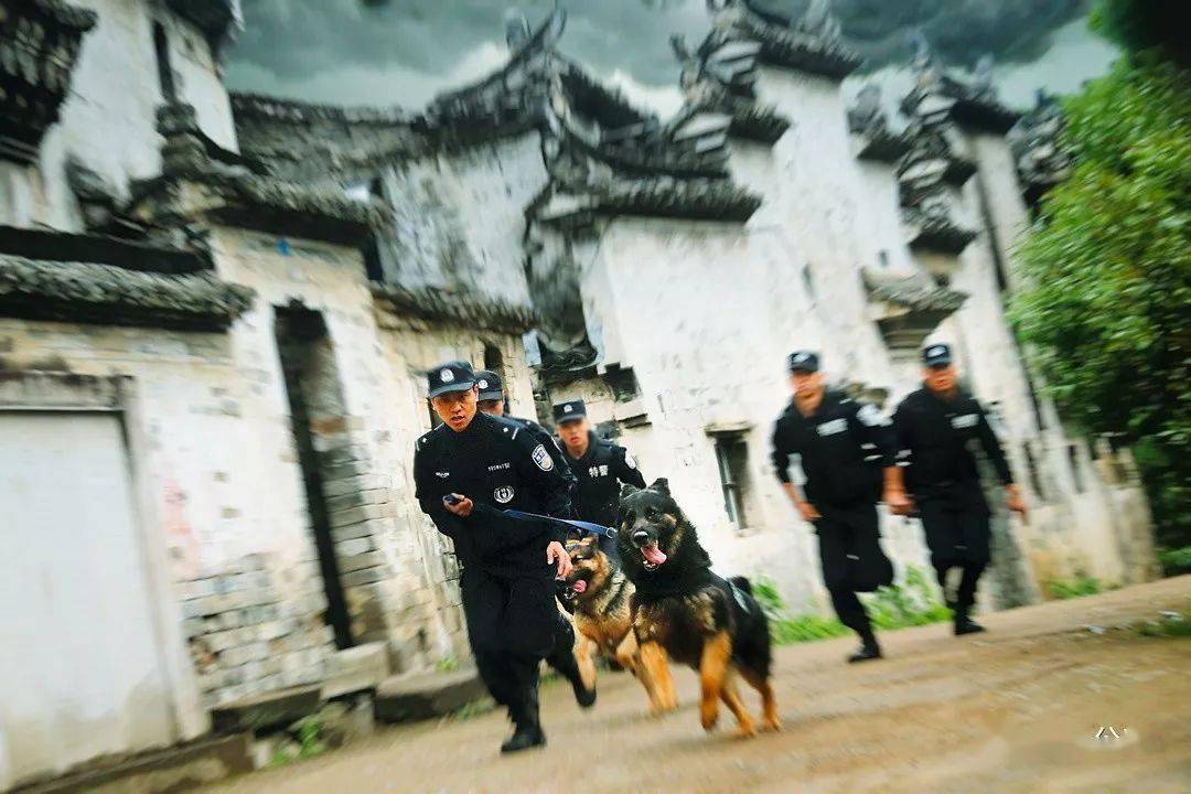 2020缙云县公安局领_2020年度“最美浙警”名单公布!丽水有22个!
