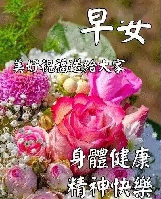 12月非常漂亮的早上好表情图片带字,好看的早安图片问候语