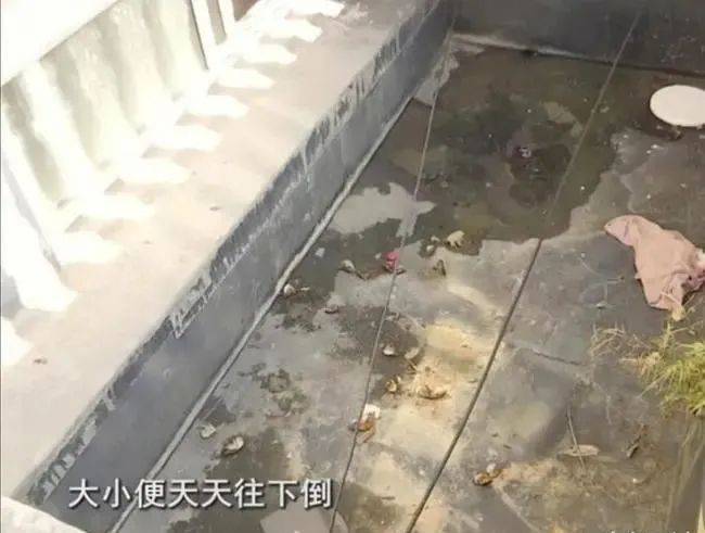 崩溃杭州一90岁老人每天往楼下泼洒尿水和粪便声称进不了厕所