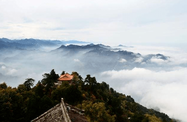 终南何有,有条有梅|大美秦岭·终南山