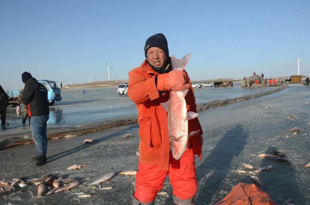 今年查干湖冬捕第一网鲜鱼出水迎来"开门红"_直播