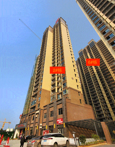 400_509 竖版 竖屏