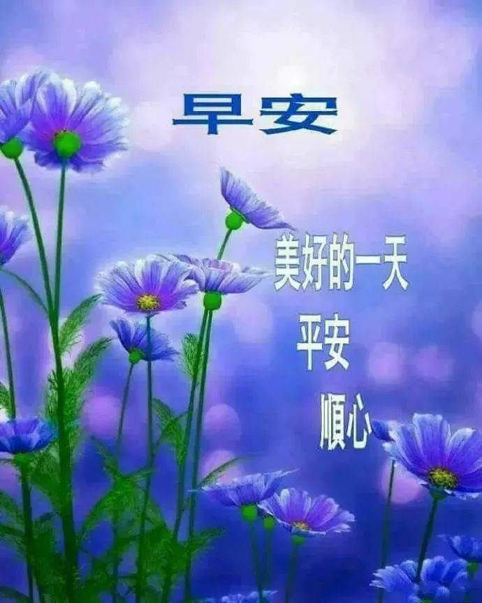 早安表情包:愿我的祝福,伴你每时每刻!