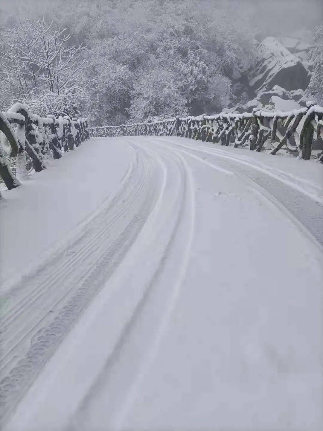 快看,昭通彝良小草坝雪景美翻天!