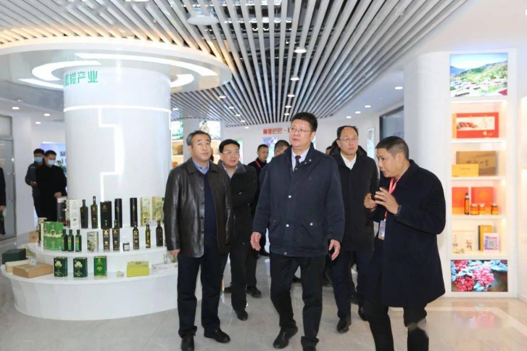 商务部流通发展司副司长李刚一行调研陇南电商工作