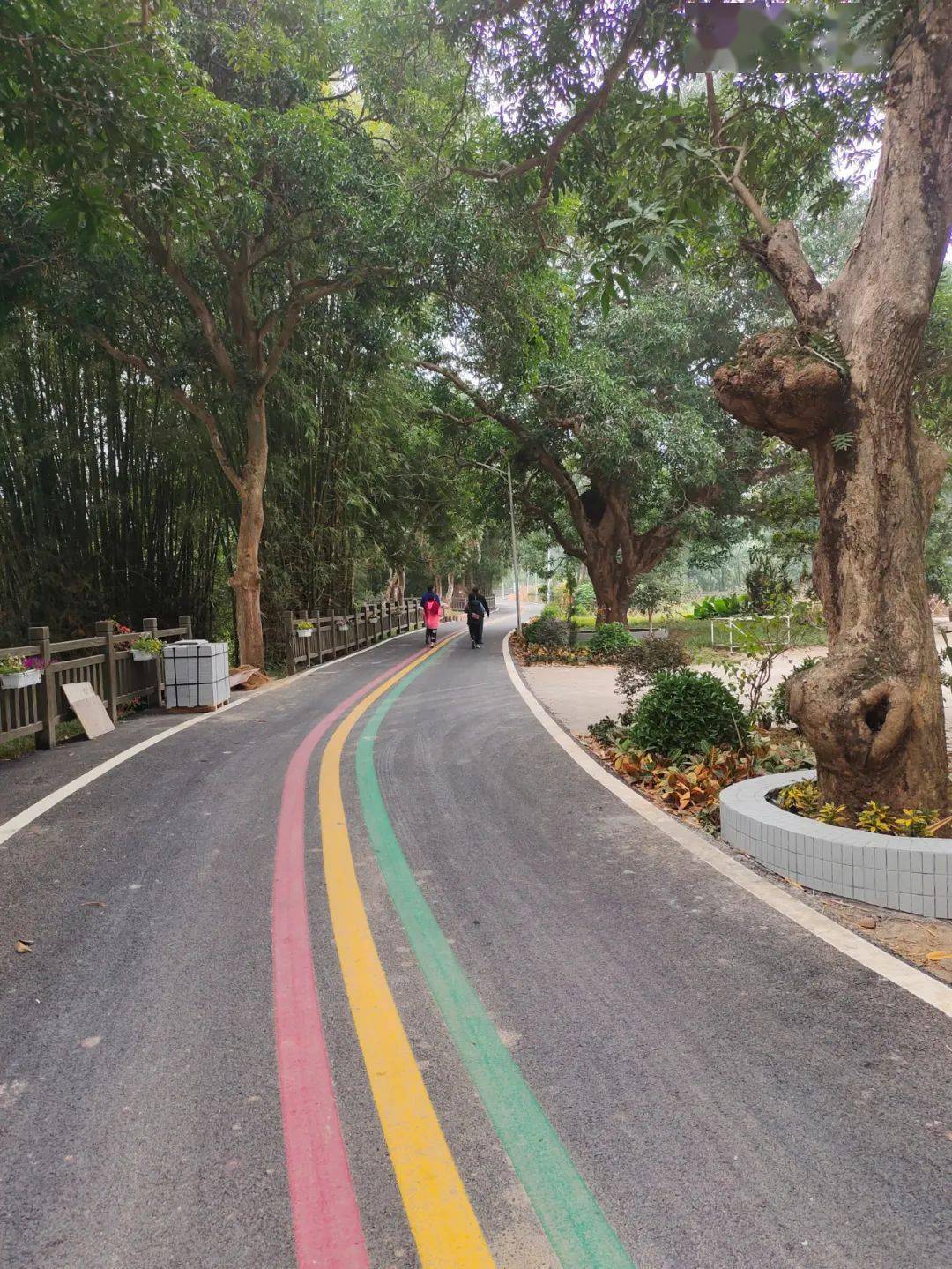 2021广东省罗定市gdp_广东省罗定市风景(3)