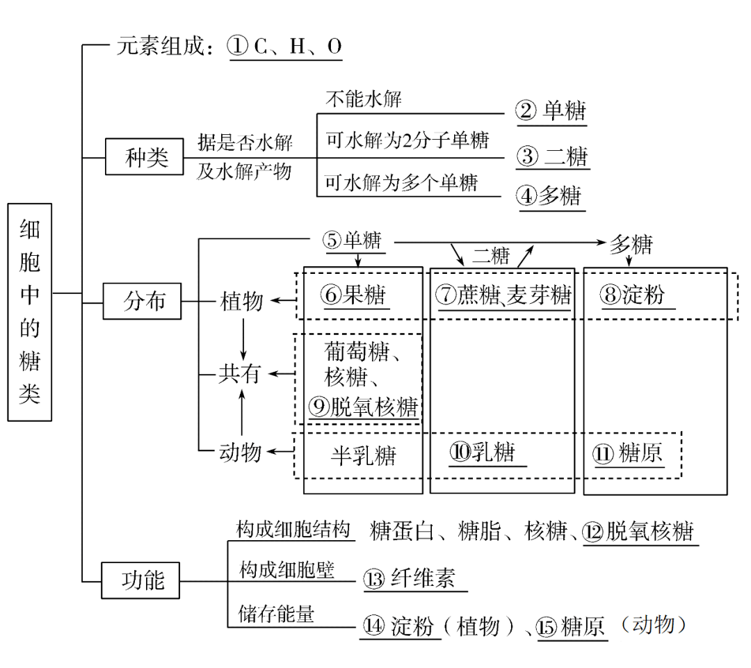 高考生物一轮复习分子与细胞思维导图专题汇总汇总