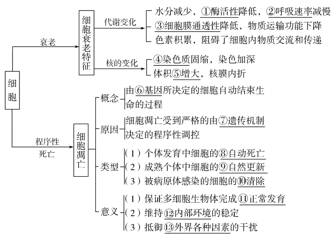 高考生物一轮复习分子与细胞思维导图专题汇总汇总