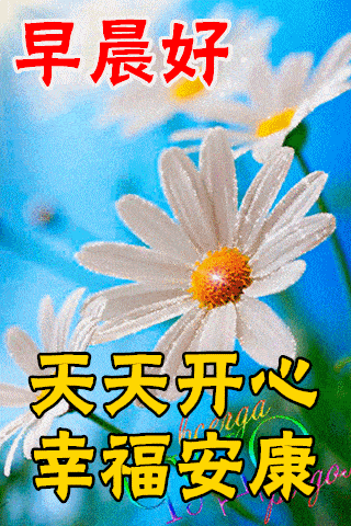 12月25日最漂亮早上好动态表情图片大全,早晨好动图美图大全