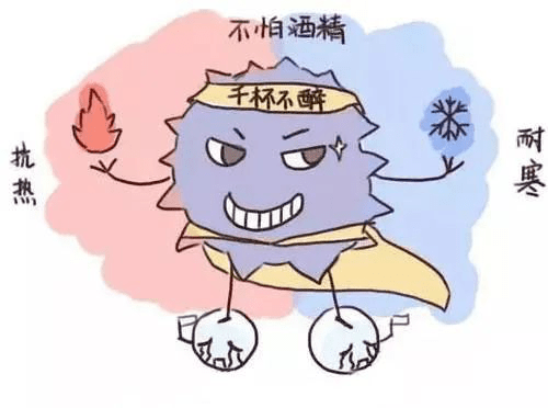 2d9cd494dd664a54af6f1ef226b3166d.png