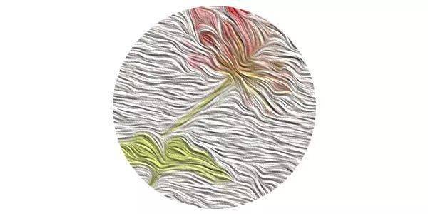 谋事什么什么成语_成语故事简笔画(3)