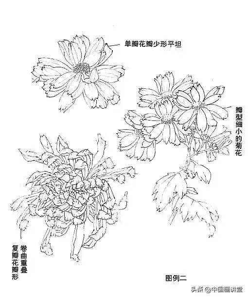 梅兰竹菊"四君子"的画法,实用收藏