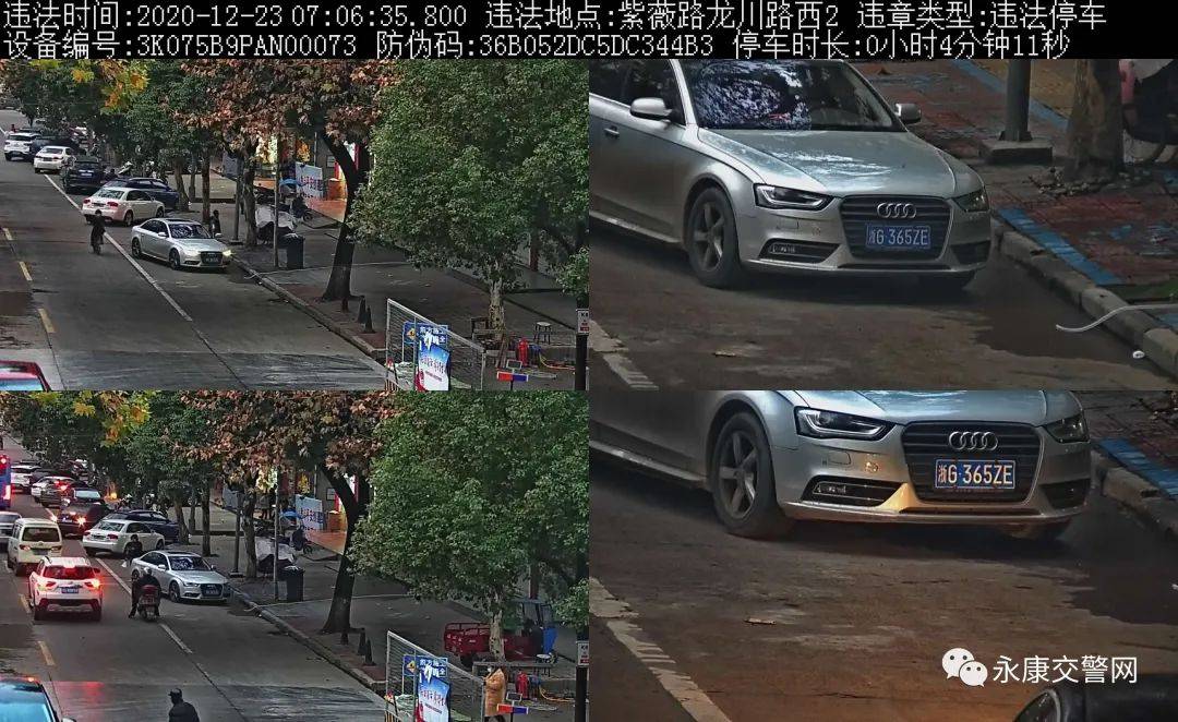 2020年浙江省各城市g_2020年浙江省色彩临本(3)