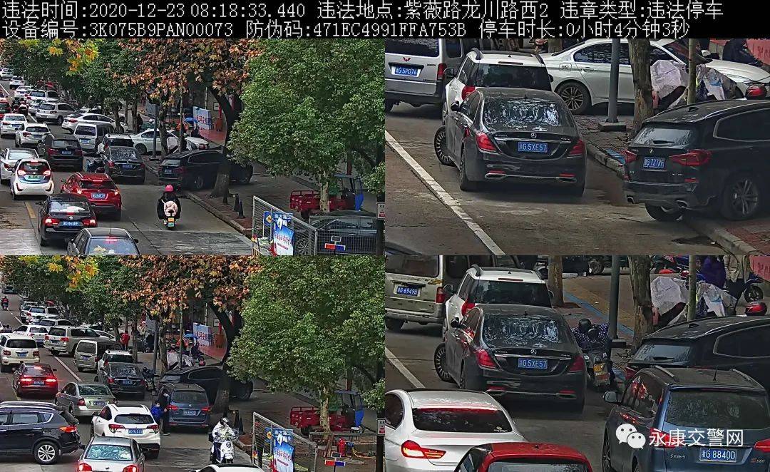 2020年浙江省各城市g_2020年浙江省色彩临本(3)