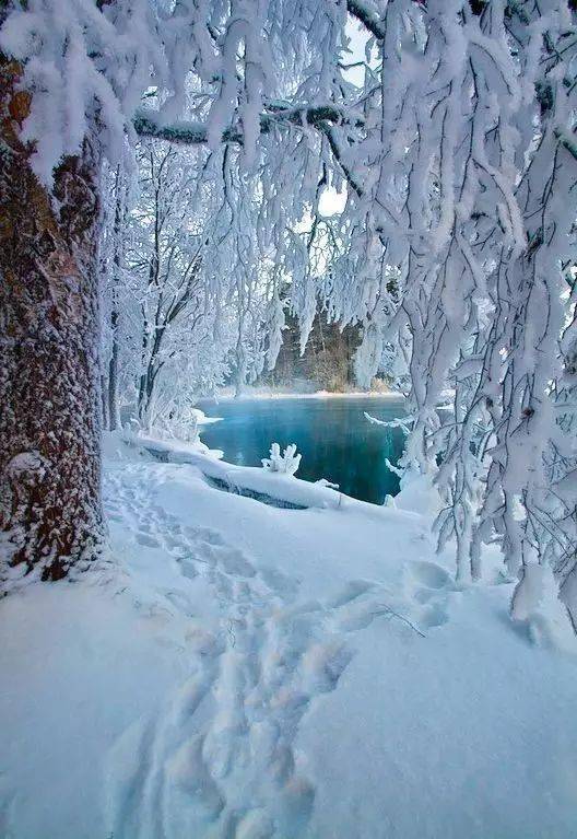 赏绝美雪景,听雪落下的声音