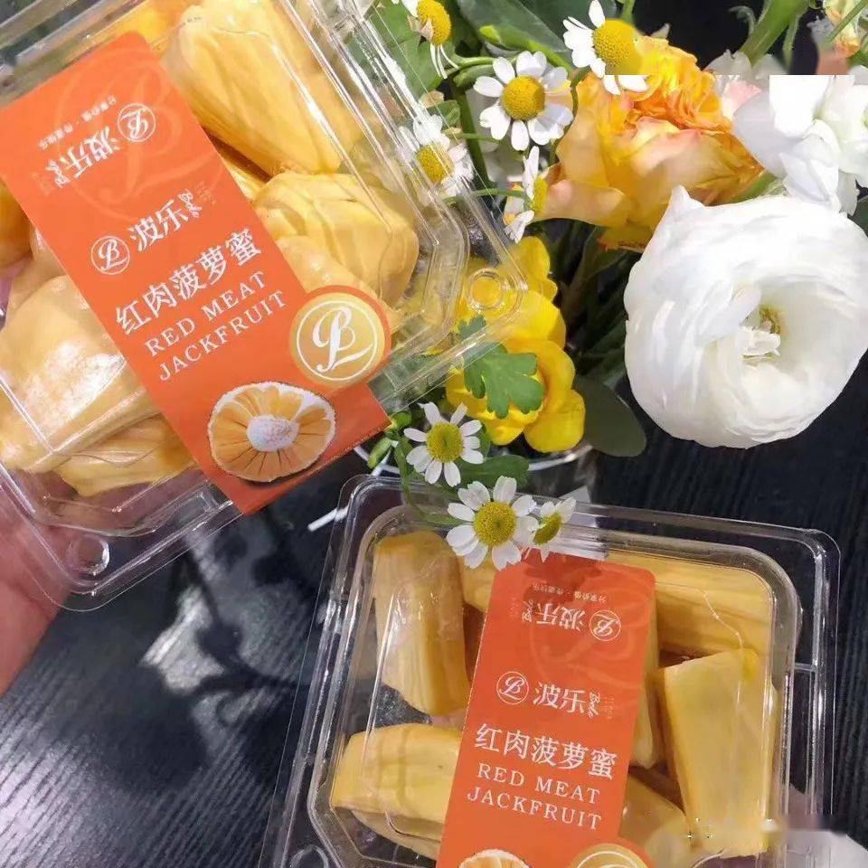 菠萝蜜人口_菠萝蜜飘香的季节,博白这个镇200多亩菠萝蜜迎来大丰收