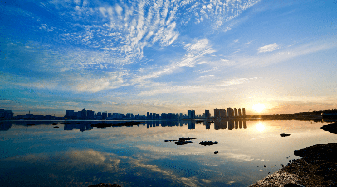 2020年焦作市驾校排_焦作全通驾校2020年鼠年新春献辞