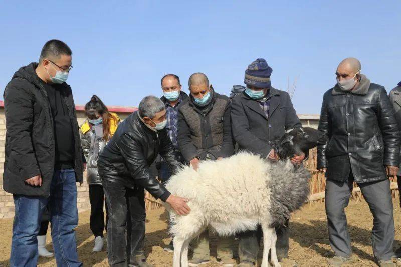 依拉克人口多少_25克是多少拉菲草图片