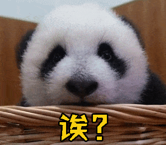 揭秘:大熊猫超爱滚新鲜马粪?原因竟然是.