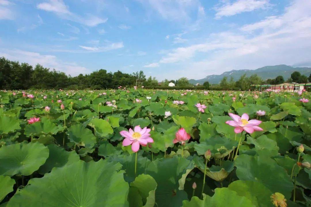 奔向更加美好的未来