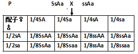 已知亲代的基因型求子代的基因型和表现型的概率一般可用棋盘格法分析