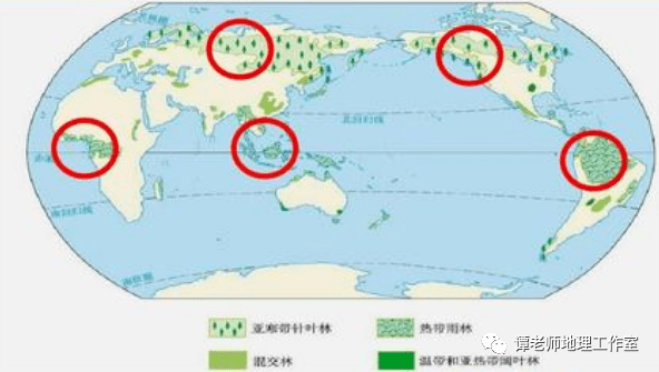 【地理观察】专业解读森林的分类和演替过程,附中国的