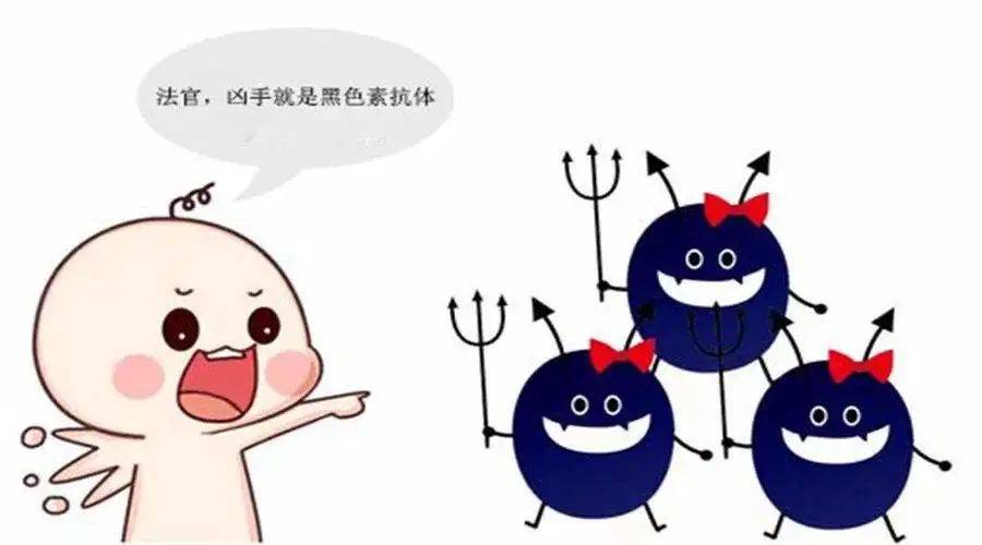 吃什么可以减少黑色素变多 b0030c2913af41eb9da719137f2a45a2.jpeg