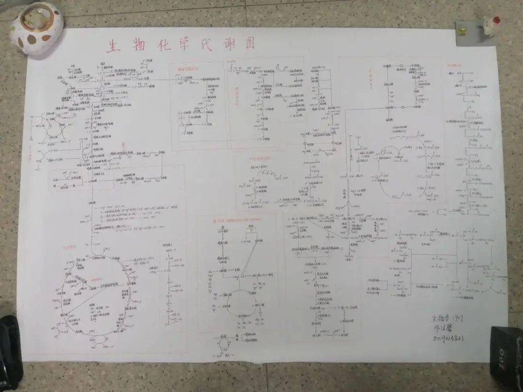 留白的简谱_留白构图