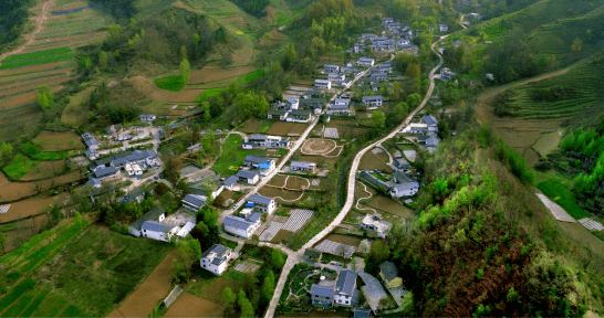 2019年康县经济总量_经济全球化(2)