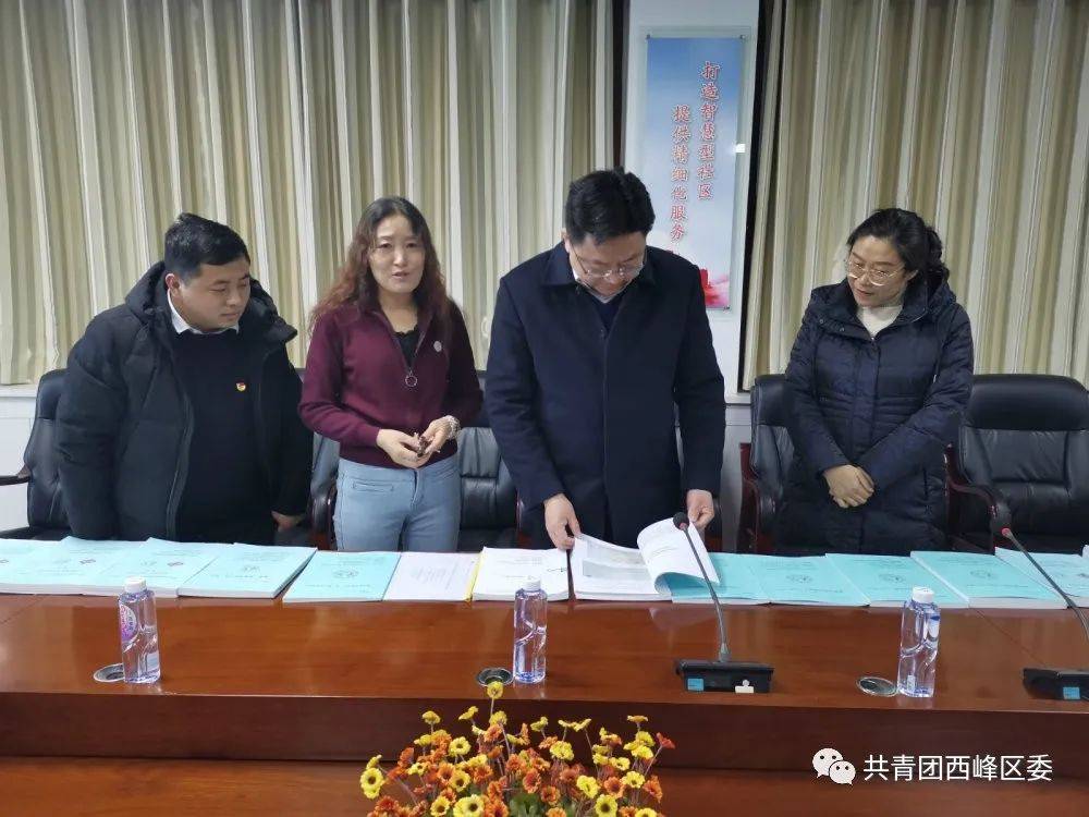 团省委副书记,省青联主席董安宁一行来我区调研青年社会组织工作