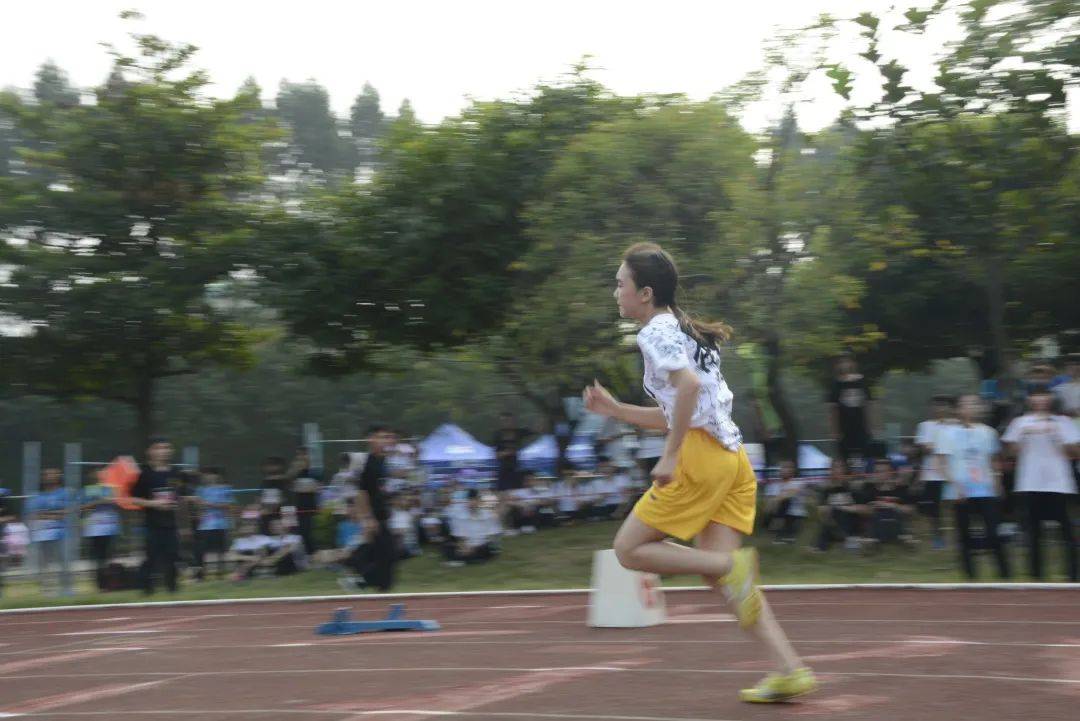 草原情哥哥的曲谱