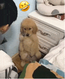 219_263gif 动态图 动图